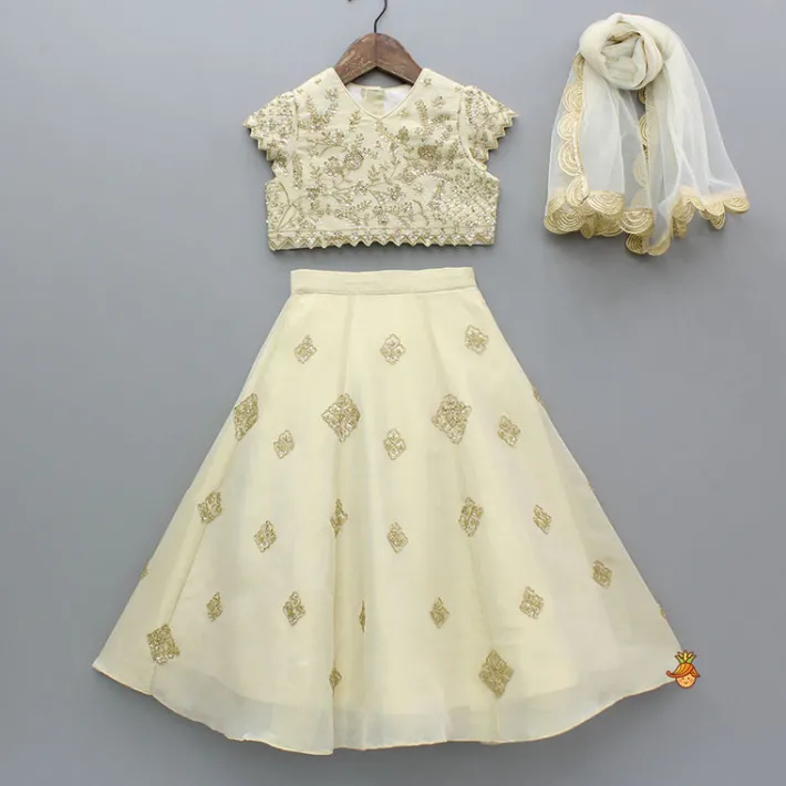 New Beige Shimmery Sequin Embroidered Top With Flared Lehenga And Matching Dupatta Ethnic Wear | Lehengas & Ghagras