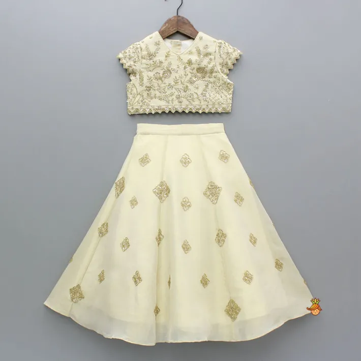 New Beige Shimmery Sequin Embroidered Top With Flared Lehenga And Matching Dupatta Ethnic Wear | Lehengas & Ghagras