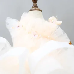 Sale Butterfly And Pearl String Enhanced Ruffle Shaded Peach Dress Dresses & Sets | Dresses