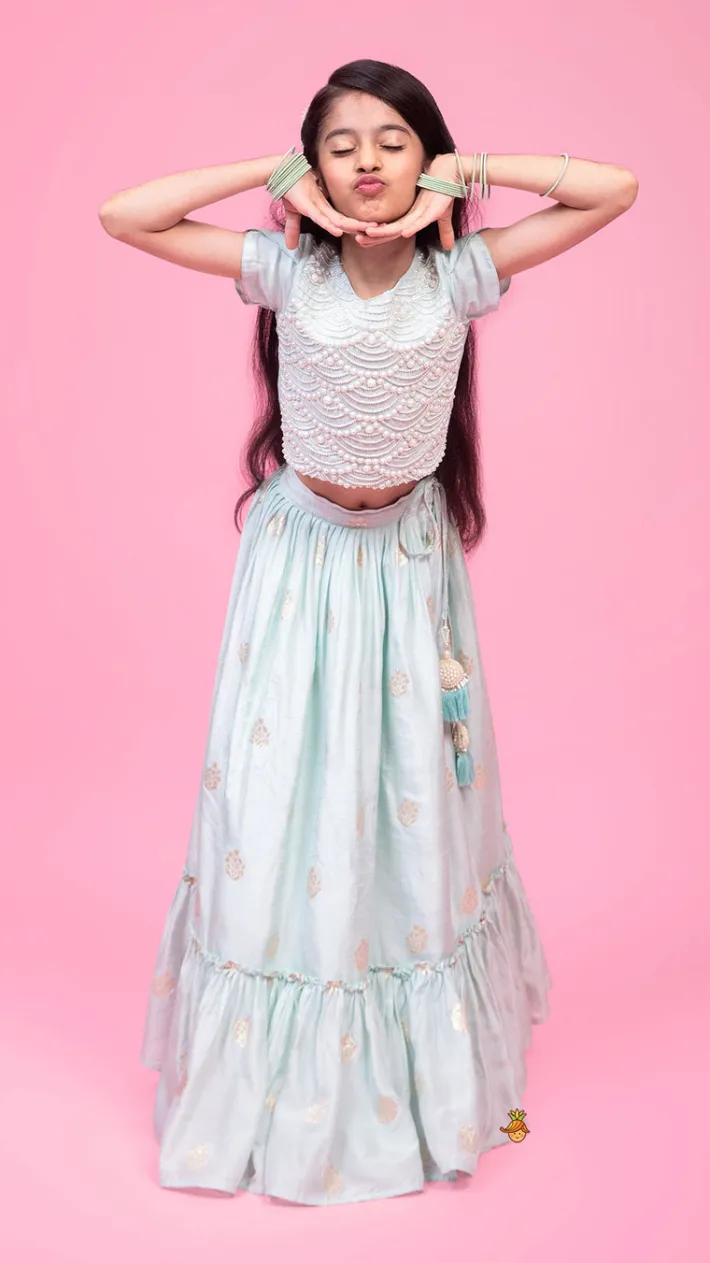 Discount Embellished Embroidered Blue Top And Brocade Lehenga Ethnic Wear | Lehengas & Ghagras