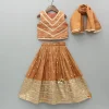 Hot Embroidered And Lace Work Top With Lehenga And Dupatta Ethnic Wear | Lehengas & Ghagras