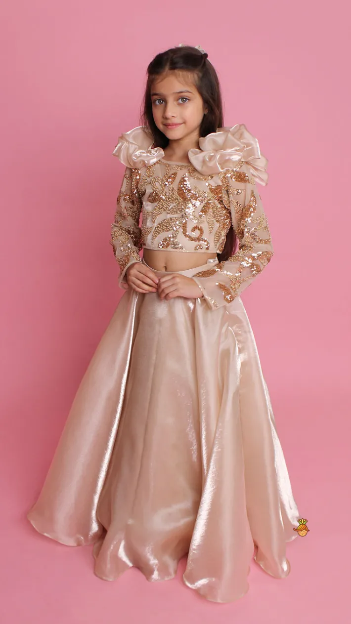 Fashion Embroidered Elegant Ruffle Detailed Top And Lehenga Ethnic Wear | Lehengas & Ghagras