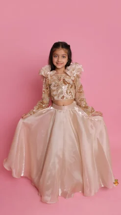 Fashion Embroidered Elegant Ruffle Detailed Top And Lehenga Ethnic Wear | Lehengas & Ghagras