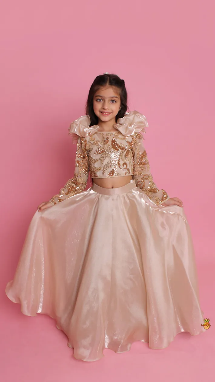 Fashion Embroidered Elegant Ruffle Detailed Top And Lehenga Ethnic Wear | Lehengas & Ghagras