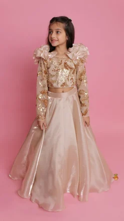 Fashion Embroidered Elegant Ruffle Detailed Top And Lehenga Ethnic Wear | Lehengas & Ghagras
