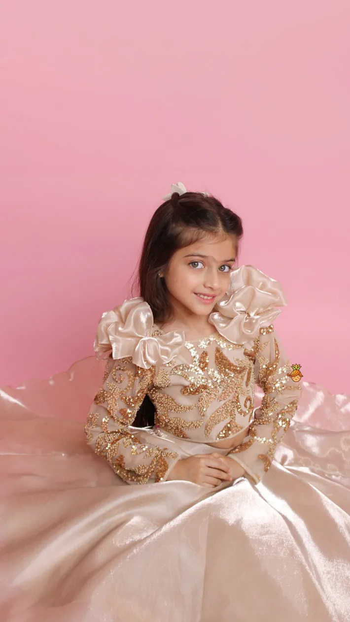 Fashion Embroidered Elegant Ruffle Detailed Top And Lehenga Ethnic Wear | Lehengas & Ghagras