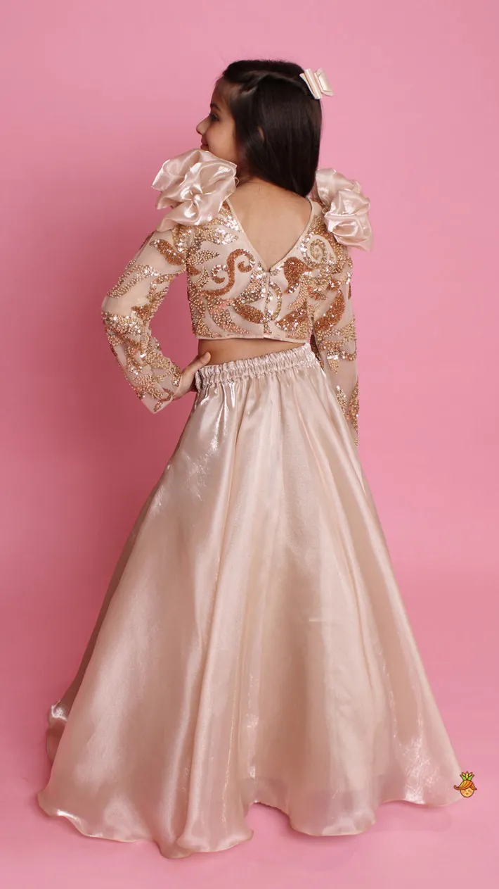 Fashion Embroidered Elegant Ruffle Detailed Top And Lehenga Ethnic Wear | Lehengas & Ghagras