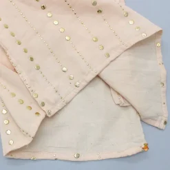 Fashion Embroidered Kurta And Jacket With Pyjama BOY Indian Ethnic Wear | Ethnic Sets