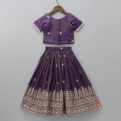 New Embroidered Purple Top And Pleated Lehenga With Net Dupatta Ethnic Wear | Lehengas & Ghagras