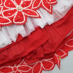 Hot Embroidered Red Top And Pleated Lehenga Ethnic Wear | Lehengas & Ghagras