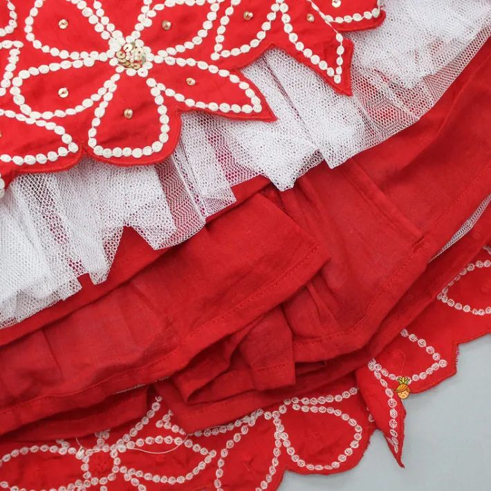 Hot Embroidered Red Top And Pleated Lehenga Ethnic Wear | Lehengas & Ghagras