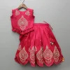 Best Embroidered Stylish Hem Pink Top And Pleated Lehenga Ethnic Wear | Lehengas & Ghagras