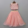 New Floral Embroidered Stylish Back Pink Top And Lehenga Ethnic Wear | Lehengas & Ghagras