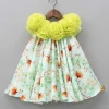 Clearance Lime Green Floral Printed Rose Flowers Adorned Dress Dresses & Sets | Dresses