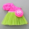 Discount One Shoulder Swirled Flower Enhanced Flared Pink And Green Dress Dresses & Sets | Dresses