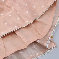 New Peach Butti Work Embroidered Top With Lehenga Twinning Sets | Ethnic Wear