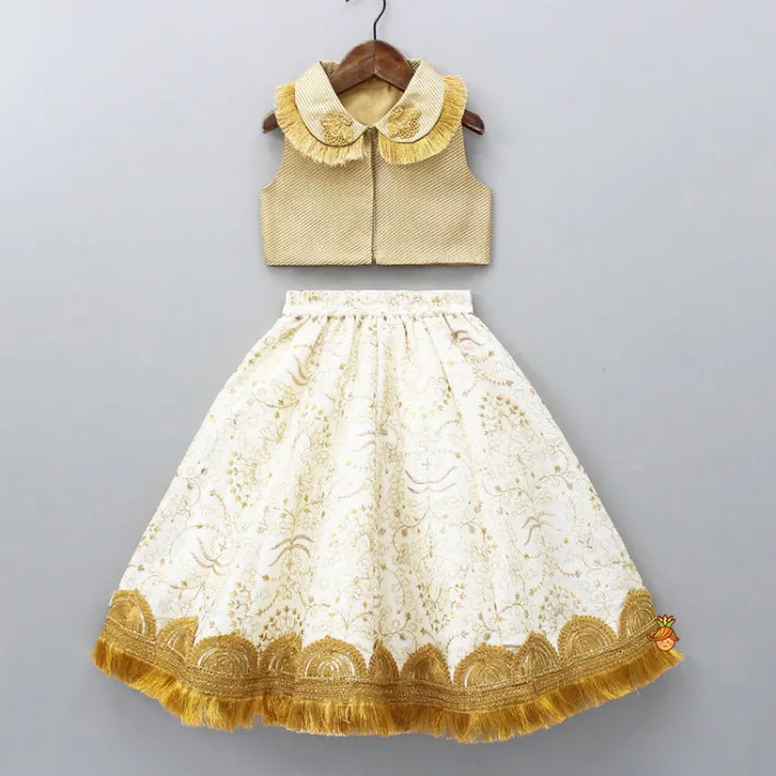Online Peter Pan Collar Top And Embroidered Lehenga Ethnic Wear | Lehengas & Ghagras