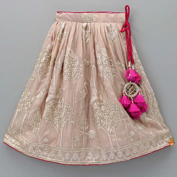 Clearance Pink Butterfly Top And Floral Embroidered Lehenga Ethnic Wear | Lehengas & Ghagras