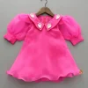 Clearance Pink Embellished Collar Elegant Dress Dresses & Sets | Dresses