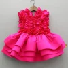 Fashion Pink Frills Enhanced Layered Dress Dresses & Sets | Dresses