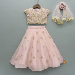 Discount Pink Shimmery Sequin Embroidered Top With Flared Lehenga And Matching Dupatta Ethnic Wear | Lehengas & Ghagras