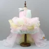 New Rainbow Shaded Stone Embellished Dress With Detachable Trail Dresses & Sets | Dresses