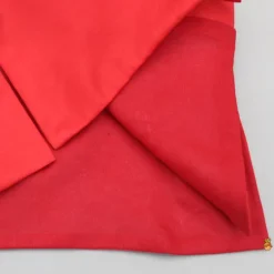 Best Red Embroidered Sherwani And Pyjama BOY Indian Ethnic Wear | Sherwani Sets